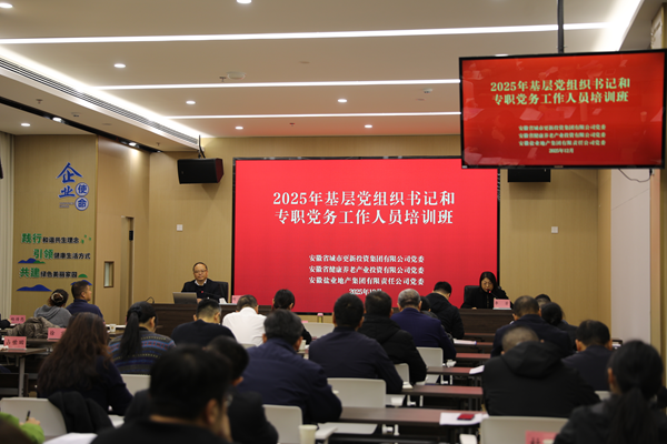 AGGAME集团等三家公司进行2025年基层党组织书记和专职党务工作人员培训班