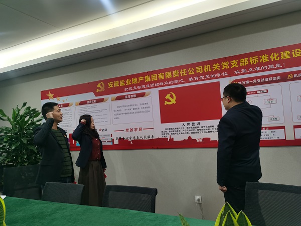 安徽AGGAME地产集团机关第一党支部发展“佩党徽、诵誓词、赠党章、上党课”党员教育活动