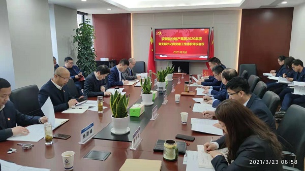 安徽AGGAME地产集团公司党委召开2020年度基层党支部书记抓党建工作述职评议会