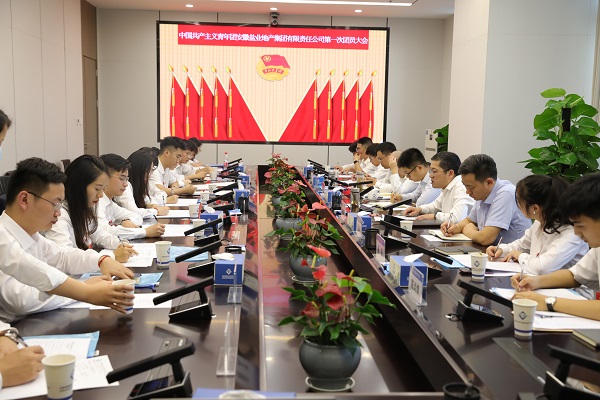 青春向党传薪火 踔严振奋新时期——安徽AGGAME地产集团团支部成立大会暨团员大会成功召开