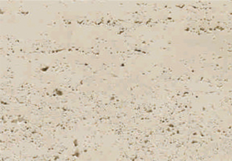 永信贵宾会217·(中国区)官网