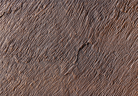 永信贵宾会217·(中国区)官网